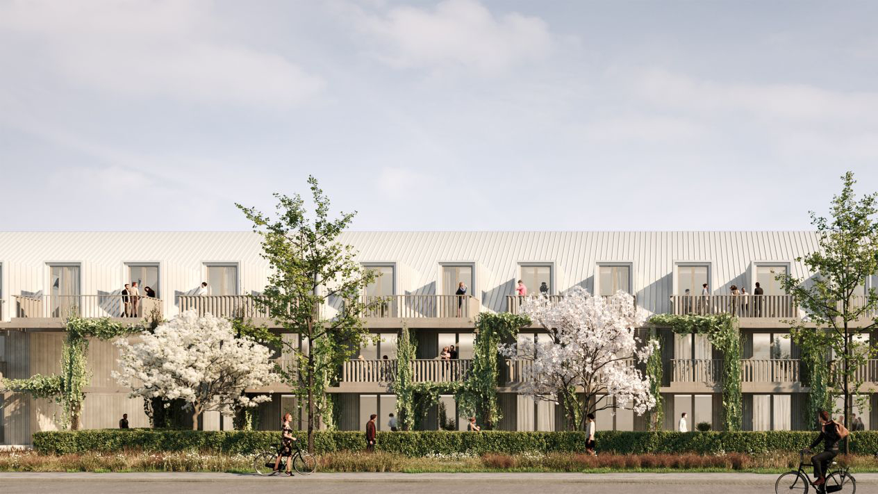 Neubau in der Springer Straße 6